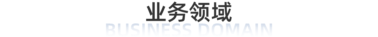 业务领域